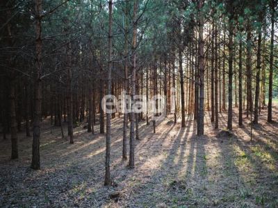 Лот: 25295123. Фото: 1. участок , СНТ Рось СНТ Рось, 57... Земельные участки