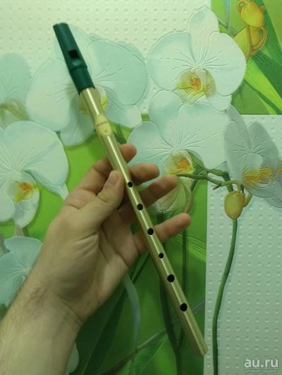 Лот: 9644241. Фото: 1. Вистл в До / Feadog whistle in... Духовые