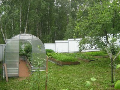 Лот: 4582350. Фото: 1. Продам очень хороший участок 8... Земельные участки
