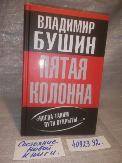 Лот: 25360025. Фото: 1. ок..(4092392) (4092351)Бушин Владимир... История