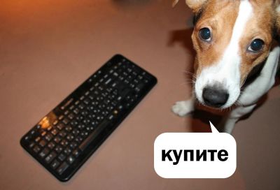 Лот: 4926093. Фото: 1. Беспроводная клавиатура Logitech... Клавиатуры и мыши