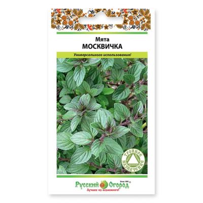Лот: 24615314. Фото: 1. Семена Мята, Москвичка, 0.03 г... Другое (семена, рассада, садовые растения)