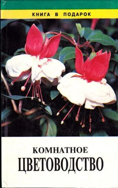 Лот: 23445978. Фото: 1. Комнатное цветоводство. Сад, огород, цветы