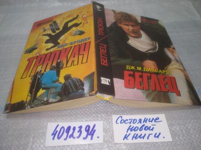 Лот: 25780853. Фото: 1. вбЮ/ОзЮ(4092394)Диллард Д.М... Художественная