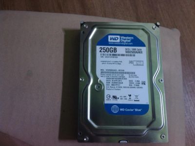 Лот: 4605936. Фото: 1. Жесткий диск 3,5" WD2500AAKX 250Gb... Жёсткие диски (HDD)