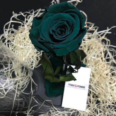 Лот: 8812001. Фото: 1. Эксклюзивные розы в колбах из... Искусственные и сувенирные цветы