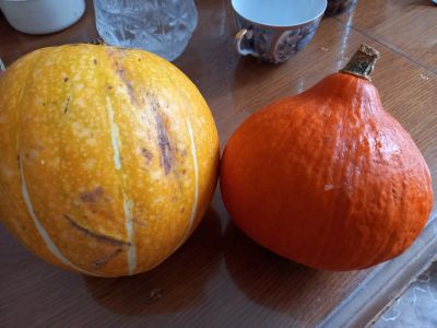 Лот: 21139567. Фото: 1. семена оранжевой тыквы, есть разные... Овощи