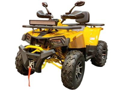 Лот: 25800766. Фото: 1. Квадроцикл MOTOLAND WILD TRACK... Снегоходы, квадроциклы