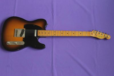 Лот: 3762567. Фото: 1. Fresher Telecaster Recovery Made... Гитары