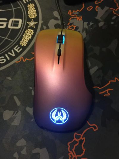 Лот: 8482567. Фото: 1. Мышь Steelseries Rival300 CS GO. Клавиатуры и мыши