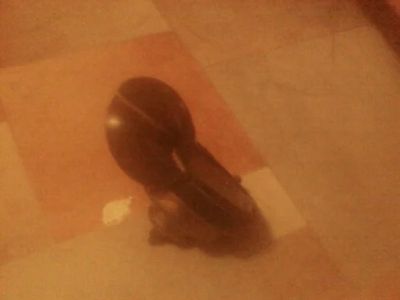 Лот: 7015523. Фото: 1. гудок на машину вроде русскую. Другое (сувениры, подарки)