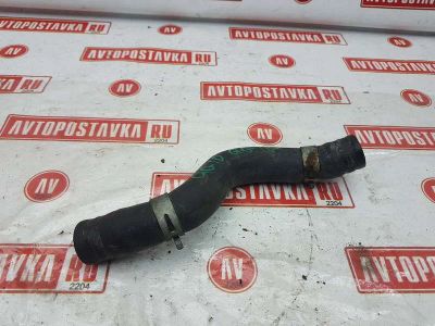 Лот: 20901540. Фото: 1. Шланг радиатора Nissan Bluebird... Двигатель и элементы двигателя
