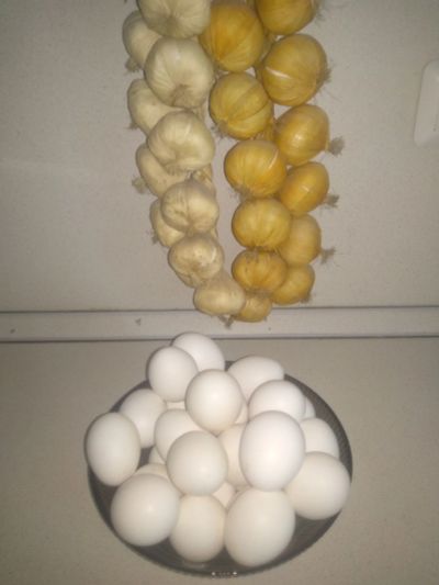 Лот: 16079229. Фото: 1. Яйцо куриное домашнее. От солодки... Мясо, птица, яйцо