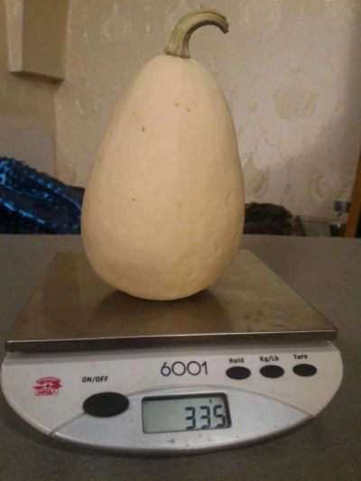Лот: 8309109. Фото: 1. Тыква сувенирная, декоративная... Другое освещение
