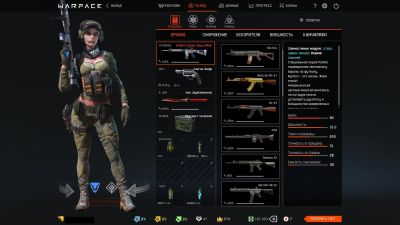 Лот: 11928511. Фото: 1. Продаю Аккаунт WarFace, Skyforge... Аккаунты