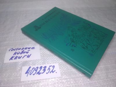Лот: 25371573. Фото: 1. вб(4092352)Демыкина Г. Н. Дом... Мемуары, биографии