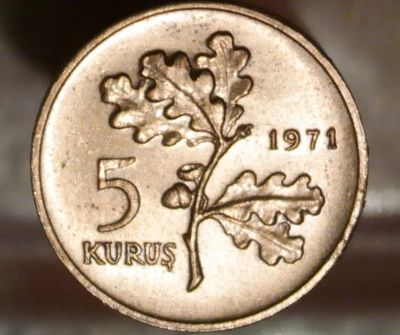 Лот: 8649209. Фото: 1. Экзотика с рубля (3904) Турция. Остальные страны