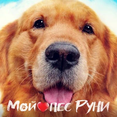 Лот: 24290996. Фото: 1. Мой пес Руни. Видеозаписи, фильмы