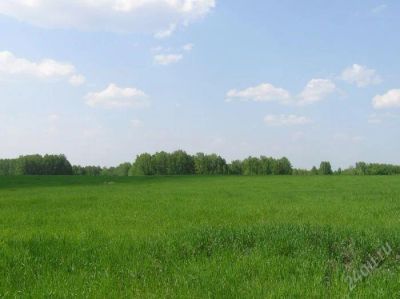 Лот: 3961725. Фото: 1. Земля, дача, Овинный. Земельные участки