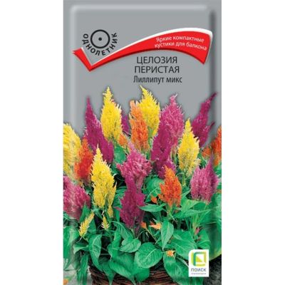 Лот: 24642554. Фото: 1. Семена Цветы, Целозия, Лиллипут... Другое (семена, рассада, садовые растения)