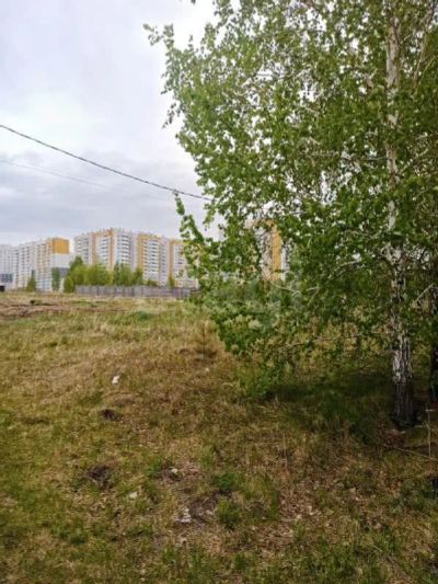 Лот: 25292805. Фото: 1. участок , садоводческое некоммерческое... Земельные участки