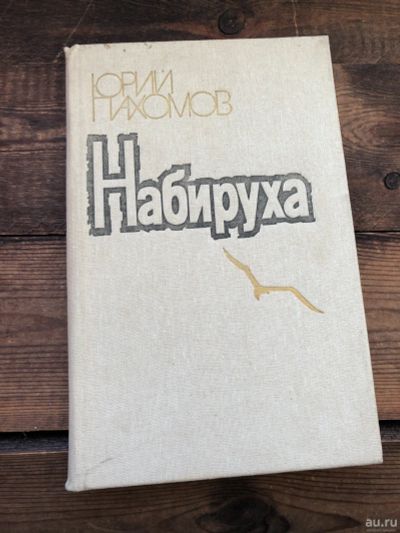 Лот: 17112850. Фото: 1. Книга Юрий Пахомов " Набируха... Художественная