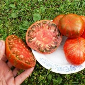 Лот: 7470645. Фото: 1. Рассада помидор большой полосатый... Овощи