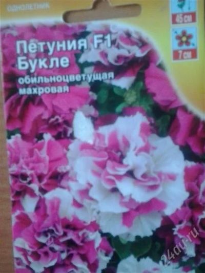 Лот: 2784243. Фото: 1. Петуния махровая разнообразная. Другое (семена, рассада, садовые растения)