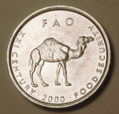 Лот: 4063786. Фото: 1. Сомали. 10 шиллингов 2000 г.(577... Африка