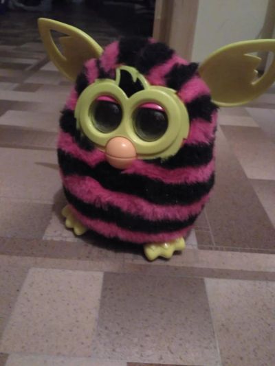 Лот: 8000345. Фото: 1. Куплю ферби furby неисправного. Электронные