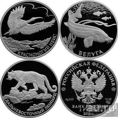 Лот: 13424351. Фото: 1. 2 рубля 2019 года. 3 монеты серии... Россия после 1991 года