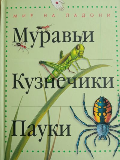 Лот: 19107172. Фото: 1. детская энциклопедия. Энциклопедии