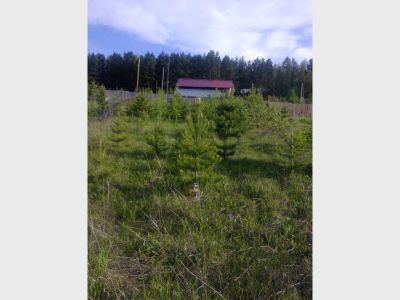 Лот: 3782213. Фото: 1. Земельный участок. Земельные участки