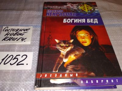 Лот: 18310868. Фото: 1. Некрасова Е.В. Богиня бед, Недалекое... Художественная