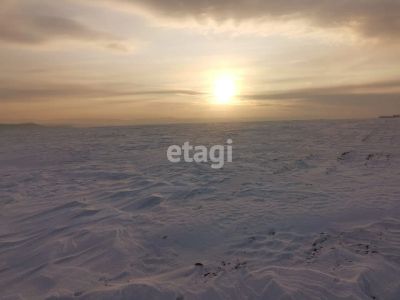 Лот: 21003053. Фото: 1. Продам участок 513.7 сот. Новосибирское... Земельные участки