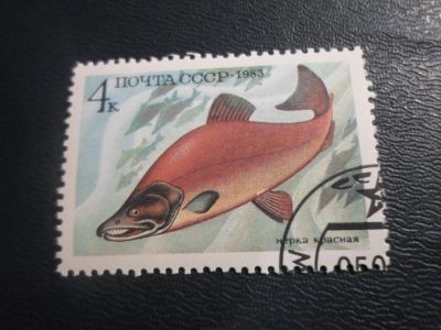 Лот: 17380282. Фото: 1. Марка для Вашей коллекции. №28677. Марки