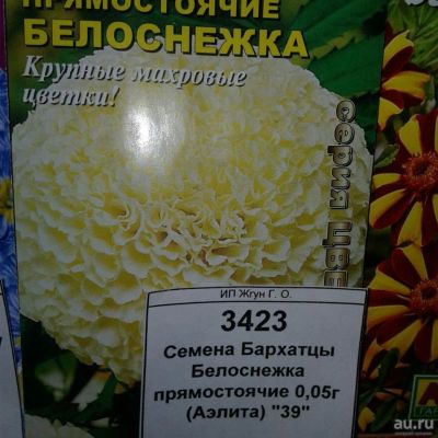 Лот: 9115496. Фото: 1. Семена / Бархатцы / Белоснежка... Садовые цветы