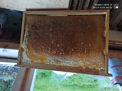 Лот: 16082180. Фото: 1. Рамки для пчел. СУШ. Пчеловодство