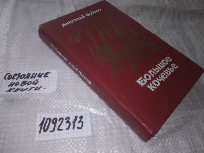 Лот: 21038305. Фото: 1. вбЮ/oz(1092313) Буйлов А. Большое... Художественная