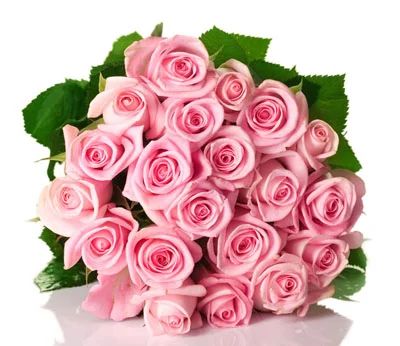 Лот: 6982399. Фото: 1. Оформленный букет из 35 свежих... Свежие цветы
