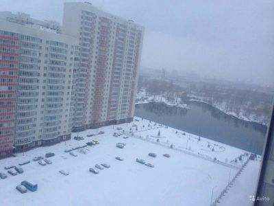 Лот: 14839145. Фото: 1. Сдам студию на Карамзина. Квартиры, студии