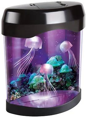 Лот: 6632654. Фото: 1. Настольный аквариум с медузами... Другое освещение