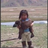 Лот: 4657723. Фото: 1. ЖиЛеТЫ , ЧуНи, чУвЯки из овечьей... Домашняя одежда