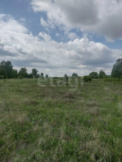 Лот: 25429673. Фото: 1. участок , товарищество собственников... Земельные участки