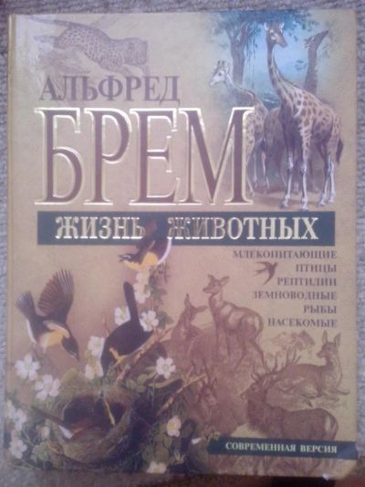 Лот: 3571604. Фото: 1. Жизнь животных. Альфред Брем. Справочники