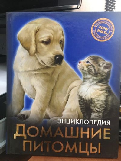 Лот: 15039919. Фото: 1. Домашние питомцы. Энциклопедия... Познавательная литература