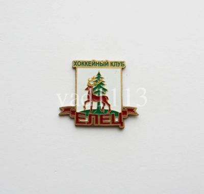 Лот: 10963372. Фото: 1. Хоккей значок ХК Елец. Сувенирные