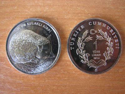 Лот: 4501960. Фото: 1. Турция 1 лира 2014 года. Ушастый... Азия