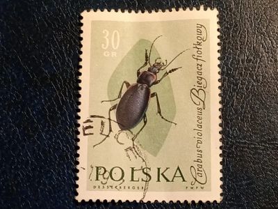 Лот: 24887973. Фото: 1. - Марки для Вашей коллекции. лот... Марки