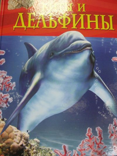 Лот: 3965079. Фото: 1. Детская энциклопедия "Киты и дельфины... Познавательная литература